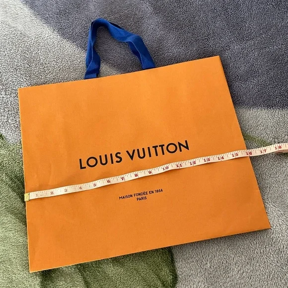 Louis Vuitton Gift Bag - Picture 8 of 10